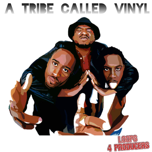 A Tribe Called Vinyl