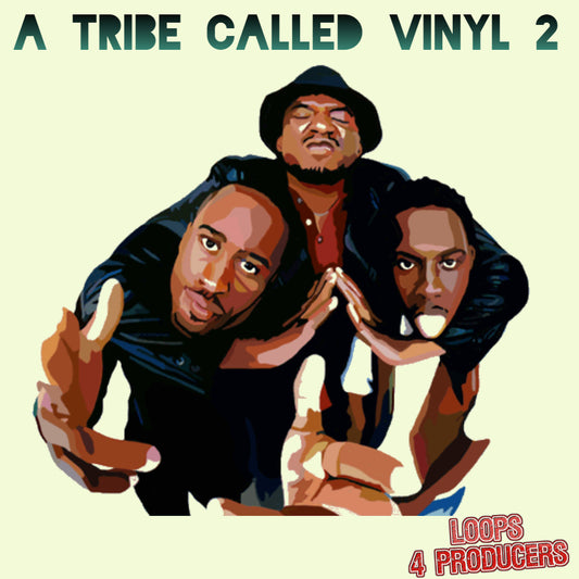 A Tribe Called Vinyl 2