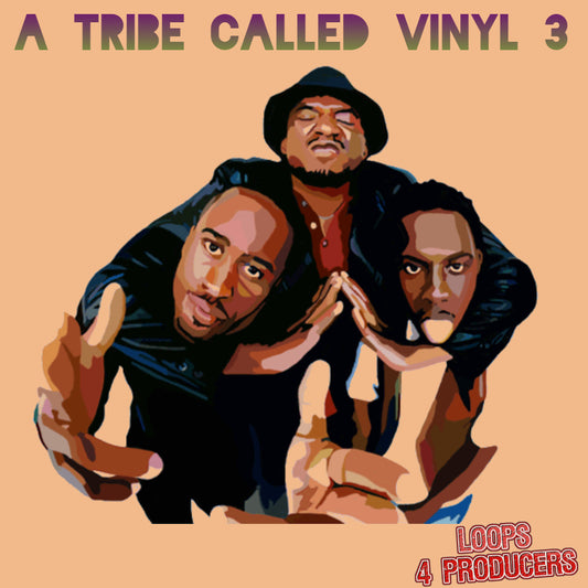 A Tribe Called Vinyl 3