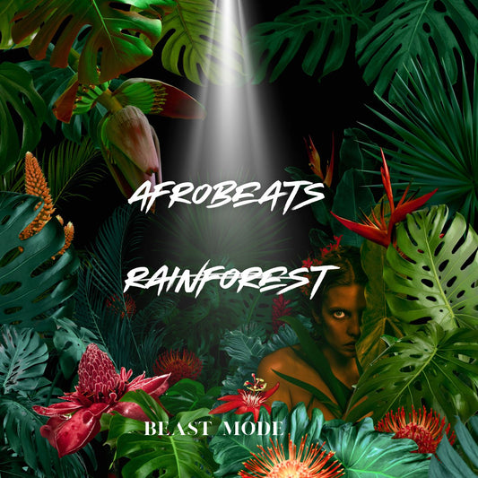 Afrobeats RainForest