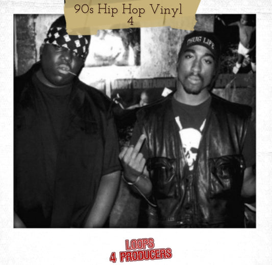 90s Hip Hop Vinyl 4