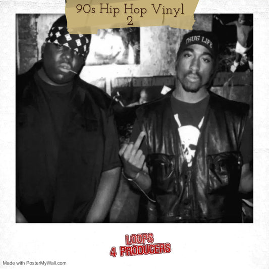 90s Hip Hop Vinyl 2