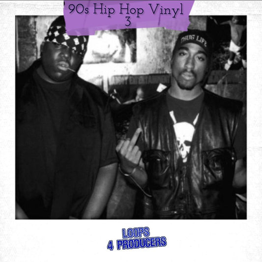 90s Hip Hop Vinyl 3