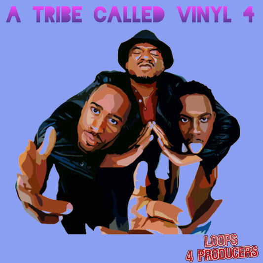 A Tribe Called Vinyl 4
