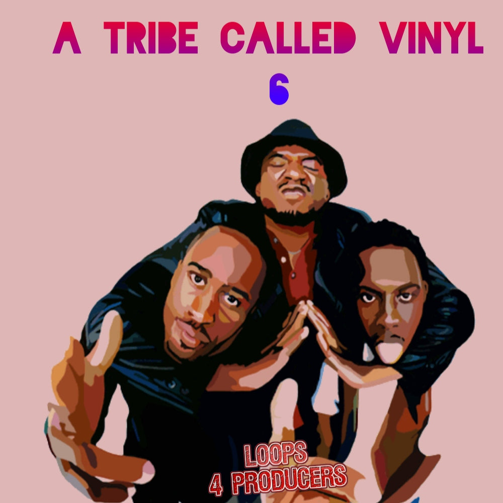 A Tribe Called Vinyl 6