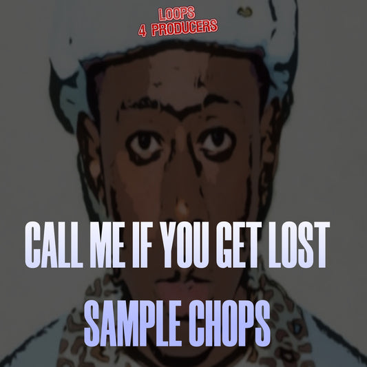 Call Me If You Get Lost Samples