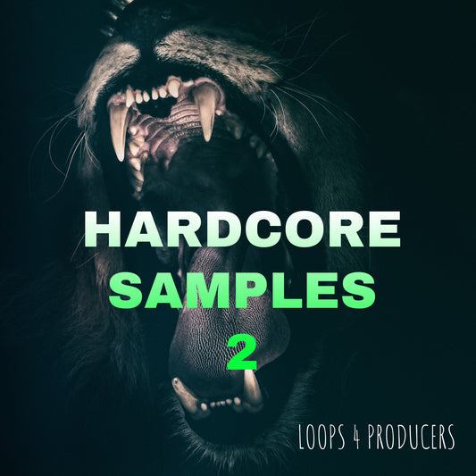 Hardcore Samples 2