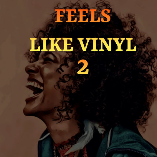 Feels Like Vinyl 2