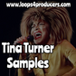 Tina Turner Samples