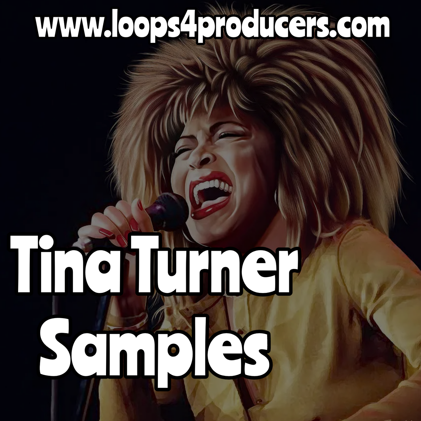 Tina Turner Samples