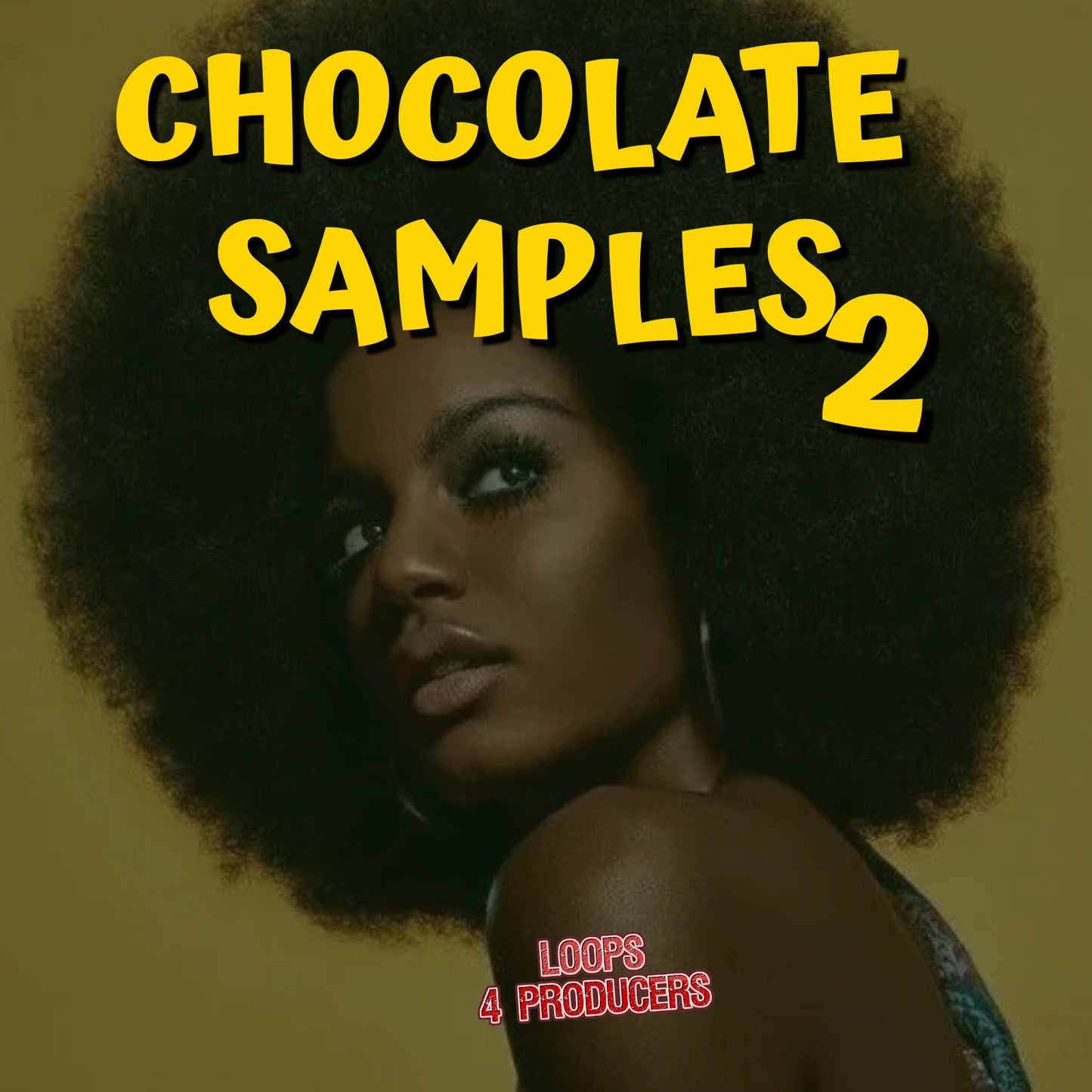 Chocolate Samples 2