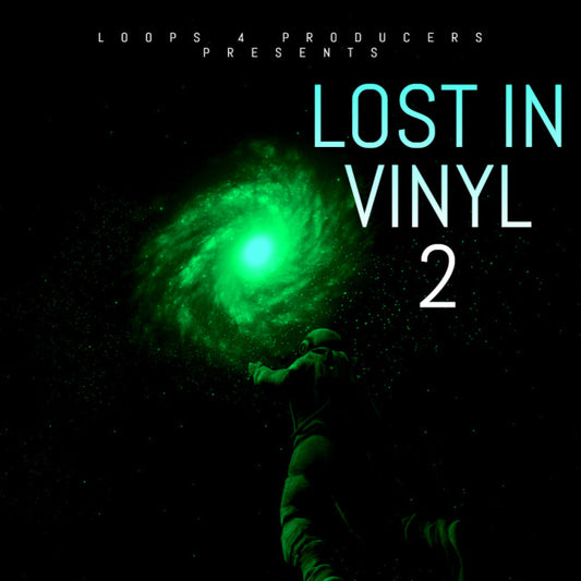 Lost In Vinyl 2