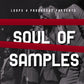 Soul of Samples