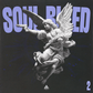Soul Bleed 2