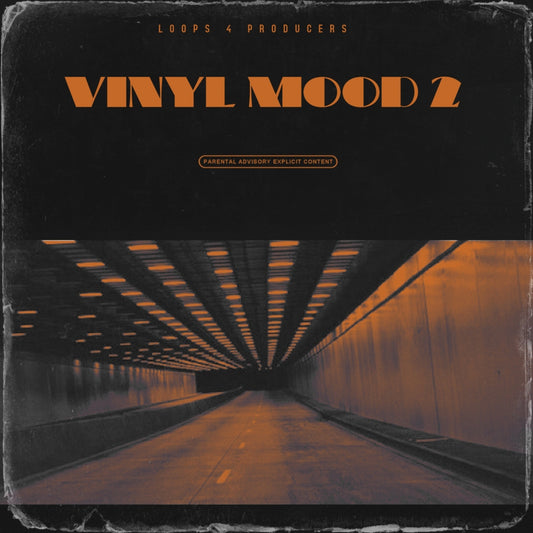 Vinyl Mood 2